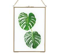 Homtone Marco de vidrio de 21 x 30 cm para pared, marco flotante para exhibición, marco de vidrio para colgar fotos, prensado de cobre puro para flores, plantas y fotos