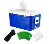 Homyl Nevera portátil pasiva plástico con Techo Solar, Caja térmica para Camping, Pesca y barbacoas, Estándar con tragaluz, 50L