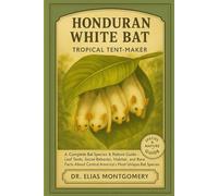 Honduran White Bat - Tropical Tent-Maker: A Complete Bat Species & Nature Guide - Leaf Tents, Social Behavior, Habitat, and Rare Facts About Central America’s Most Unique Bat Species