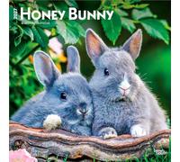 Honey Bunny 2027 12 X 24 Inch (Hanging) Monthly Square Wall Calendar Plastic-Free