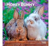 Honey Bunny 2027 7 X 14 Inch (Hanging) Monthly Mini Wall Calendar