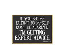 Honey Dew Gifts, If You See Me Talking to Myself I'm Getting Expert Advice, 3.5 pulgadas por 2.5 pulgadas, fabricado en Estados Unidos, imanes de refrigerador, imanes de nevera, imanes decorativos