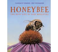 Honeybee: The Busy Life of Apis Mellifera