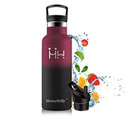 HoneyHolly Botella de agua de acero inoxidable aislada al vacío, 500 ml sin BPA a prueba de fugas, termo carbónico, adecuado para niños, pequeños, escuela, deportes, bicicleta, HH-ZKB 500ML 505+6C-VC