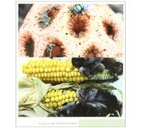 Hongos medicinales (Botánica)