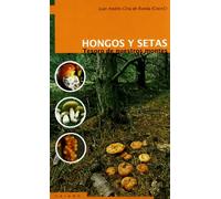 Hongos Y Setas