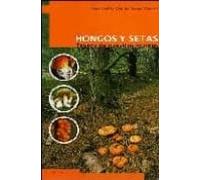 Hongos Y Setas: Tesoro De Nuestros Montes