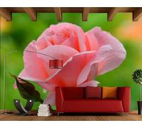 HongYouQi Decoración De Papel Tapiz Moderno Floral Rojo 3D Dormitorio Texturizado Sala De Estar De La Casa Fondo De Tv-430Cm×300Cm