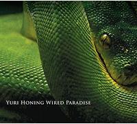 Honing Yuro Wired Paradise - Temptation