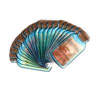 HONITANO Bolsas De Hielo Portátiles 20 Piezas 400ml Gel De Enfriamiento Duradero Para Verano Uso Doméstico Picnic Deportes Colores Aleatorios