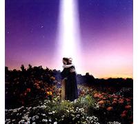 Honne - Honne - Let'S Just Say The World Ended A Week From Now What Would You Do? (LP) [Vinilo]