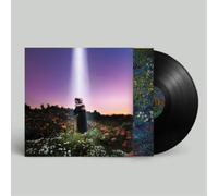 HONNE Let's Just Say the World Ended a W rom Now, What Would You Do (Vinyl)