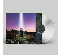 HONNE Let's Just Say the World Ended a Week from Now, What Would You Do (Vinyl)