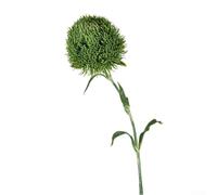 Honseadek Flor artificial de clavel verde con pétalos de plástico suave para decoración del hogar, oficina y arreglos florales de boda, planta de interior de bajo mantenimiento (verde oscuro)