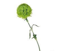 Honseadek Green Carnation - Flor artificial con pétalos de plástico suave para decoración del hogar, oficina y arreglos florales de boda, planta de interior de bajo mantenimiento (verde)