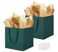 HONTIUS 11.9" Bolsa Regalo, 2 Piezas Cuadrado Bolsa Regalo Grande con Papel de Pañuelos de Papel y Tarjetas, 30 * 30 * 30cm Bolsas de Regalo Gift Bags con Sonrisa para Cumpleaños Fiestas Verde