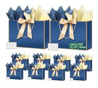 HONTIUS 15.75" Bolsa Regalo, Bolsas de Regalo Verticales con Papel de Pañuelos de Papel y Tarjetas, 40*30*12.5cm Bolsa Regalo Grande Gift Bags Mediana para Cumpleaños Fiestas Celebraciones 10 Piezas O