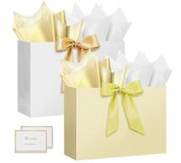 HONTIUS 18.11" Bolsa Regalo, Bolsas de Regalo Verticales con Papel de Pañuelos de Papel y Tarjetas, 46*35*15cm Bolsa Regalo Grande Gift Bags Mediana para Cumpleaños Fiestas Celebraciones 2 Piezas C