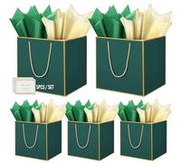 HONTIUS Bolsa Regalo, 11.9" Verde Cuadrado Bolsa Regalo Grande con Papel de Pañuelos de Papel y Tarjetas, 30 * 30 * 30cm Bolsas de Regalo Gift Bags con Sonrisa para Cumpleaños Fiestas 5 Piezas H