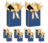 HONTIUS Bolsa Regalo Grande, 10 Piezas Bolsas para Regalos, 12.59" 32 * 25 * 11cm Bolsas Cuadradas con 10 Pañuelos de Papel 10 Tarjetas de Felicitación para Cumpleaños E