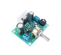 HOOCI 2030A Mono 15W Placa de Amplificador de Audio Digital Entrada 12V