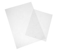 HOODANCOS 2 Piezas Peony Flower Heat Shrink Sheets Semi Transparent Pre Cut Shrinky Paper For DIY Hairpin Earrings Floral Crafts