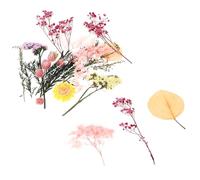 HOODANCOS Kit de Flores Secas para Manualidades DIY Bolsa Flores Secas Prensadas Inmortalidad Material Floral Natural para Decoración del Hogar Bricolaje Arte Floral y Regalos