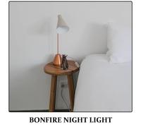 HOODANCOS Lámpara Nocturna Recargable USB con Efecto Fuego LED Diseño Rama de Árbol Pequeño 100X150Mm Luz Ambiental Cálida para Dormitorio y Camping Luz Nocturna con Ruido Relajante