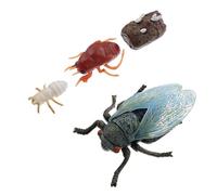 HOODANCOS Modelo de Evolución y Crecimiento de Cigarra 4 Piezas para Niños, Educativo y Decorativo, Tamaño Estándar, Simulación Realista del Ciclo Vital, Kit Científico para Aprendizaje