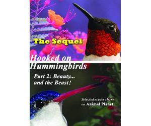 Hooked on Hummingbirds Part 2: Beauty...and the Beast