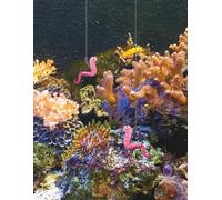 Hooked on Learning: Funny Coral Reef Composition Notebook for Kids: 8.5 x 11" Ocean-Themed Lined Notebook with Silly Worms and Colorful Coral - Perfect for School, Journaling, or Creative Writing