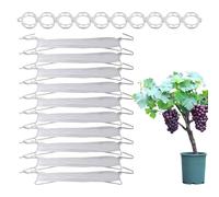 Hooks with String, 10x Tomato Support Clips, 33.3 Ft, Twine for Garden, Versatile and Reusable, Stainless Steel Garden Hooks for Flower, Vegetable, Plant Vine
