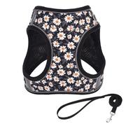 HOOLRZI Arnés grande para perros pequeños sin tirones con correa clip ajustable, hebillas cómodas y seguras, arnés para gatito