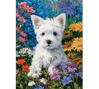 Hoonjiin Pintar por Numeros Adultos Margarita de jardín,pintura por numeros Perro adultos,Kit de Pintura al óleo de Lienzo DIY con Pincelesy Pigmento Acrílico,Decoración del Hogar 45x60cm(sin marco)