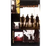 Hootie & the Blowfish - Cracked Rear View [Casete]