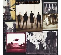 Hootie & The Blowfish - Cracked Rear View [Vinilo]