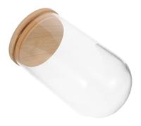 HOOTNEE Campana de Transparente con Base de Bambú Vaso para Terrario y Micro Paisaje Cubierta para Plantas Hidropónicas Protector Decorativo para Plantas de Interior Orquídeas y Suculentas