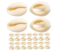 HOOTNEE Cuentas Naturales de Concha Marina Espiral sin Agujero 16-18 Mm, 120 Piezas para Fabricación de Pulseras, Accesorios DIY de Joyería de Playa para Manualidades y Decoración