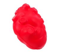 HOOTNEE Modelo de órgano Humano anatomía y fisiología decoración de Corazones simulados Modelo de órganos realistas para la enseñanza espécimen de órgano Espuma de Poliuretano Rojo