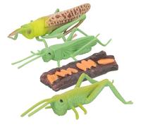 HOOTNEE Modelos Animales Montessori Juego Educativo Infantil, Figuras Ciclo de Crecimiento Realistas, Juguetes Pedagógicos para Niños, Set 4 Piezas Insectos para Aprendizaje Temprano