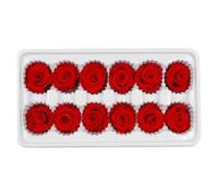 HOOTNEE Ramo de Rosas Preservadas 12 Unidades 3-4 CM Color Rojo para Decoración de Bodas y San Valentín Flores Inmortales para Arreglos y Regalos Románticos