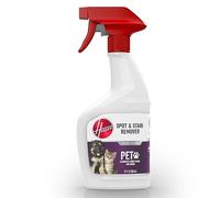 Hoover Paws & Claws - Aerosol eliminador de orina, removedor de manchas y manchas, fórmula para mascotas para alfombras y tapicería, fórmula de 22 onzas, AH31681, color blanco