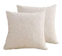 Hoowarm 2 Piezas Fundas de Cojín 60x60 50x60 60x45，Súper Suave Cuadrado & Rectangular Fundas de Almohada，con Cremallera Invisible，para Sofá Dormitorio Coche Hogar Decoración(B1,50x100cm Set of 2)