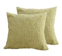 Hoowarm 2 Piezas Fundas de Cojín 60x60 50x60 60x45，Súper Suave Cuadrado & Rectangular Fundas de Almohada，con Cremallera Invisible，para Sofá Dormitorio Coche Hogar Decoración(B6,45x85cm Set of 2)