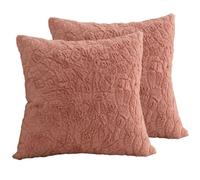 Hoowarm 2 Piezas Fundas de Cojín 60x60 50x60 60x45，Súper Suave Cuadrado & Rectangular Fundas de Almohada，con Cremallera Invisible，para Sofá Dormitorio Coche Hogar Decoración(B8,40x60cm Set of 2)