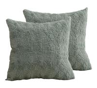 Hoowarm 2 Piezas Fundas de Cojín 60x60 50x60 60x45，Súper Suave Cuadrado & Rectangular Fundas de Almohada，con Cremallera Invisible，para Sofá Dormitorio Coche Hogar Decoración(B5,60x70cm Set of 2)