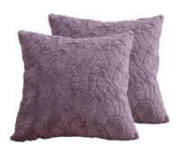 Hoowarm 2 Piezas Fundas de Cojín 60x60 50x60 60x45，Súper Suave Cuadrado & Rectangular Fundas de Almohada，con Cremallera Invisible，para Sofá Dormitorio Coche Hogar Decoración(B7,35x55cm Set of 2)