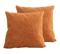 Hoowarm 2 Piezas Fundas de Cojín 60x60 50x60 60x45，Súper Suave Cuadrado & Rectangular Fundas de Almohada，con Cremallera Invisible，para Sofá Dormitorio Coche Hogar Decoración(B3,60x70cm Set of 2)