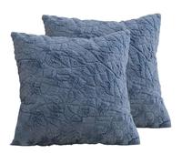 Hoowarm 2 Piezas Fundas de Cojín 60x60 50x60 60x45，Súper Suave Cuadrado & Rectangular Fundas de Almohada，con Cremallera Invisible，para Sofá Dormitorio Coche Hogar Decoración(B2,70x120cm Set of 2)