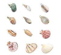 HOOWIFFY Conchas Naturales y Diseño Hermoso para Hacer Bisutería 12 Piezas Buen Acabado Material Adecuado Varios estilos para Collar y Pendientes en Proyectos DIY Varios estilos